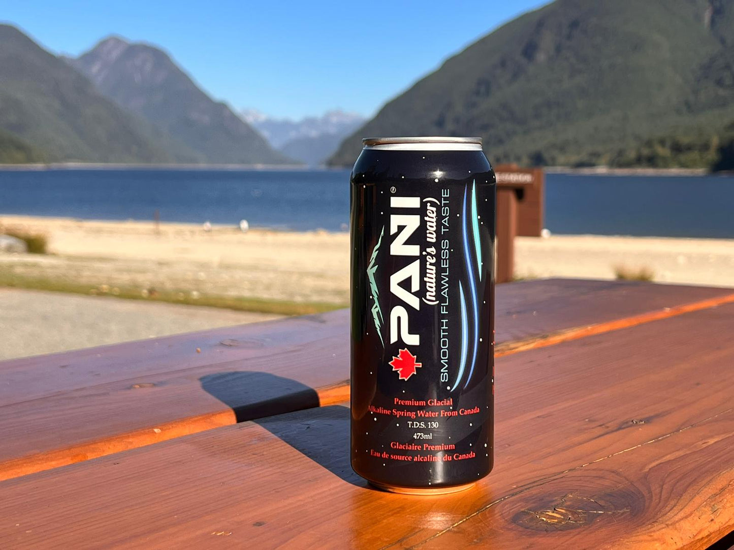 1 Can of Pani - Premium Canadian Glacial Spring Water